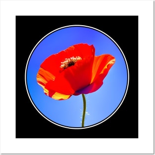 Circular Framed Digital Red Poppy Flower Back Version (MD23Mrl0017) Posters and Art